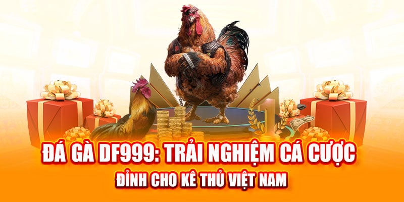 Đá gà DF999 trải nghiệm cho những ai đam mê đá gà